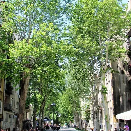 Skadarlija Break Daire Belgrad